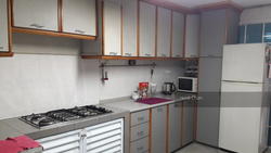 Blk 168 Stirling Road (Queenstown), HDB 3 Rooms #135274112